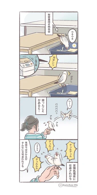 困ったことがあると苦情処理係に任命されがち
#文鳥 
#4コマ漫画

※2025文鳥カレンダー予約販売中!
SUZURIグッズも追加しました!
ハイライトから見てね✨ 
