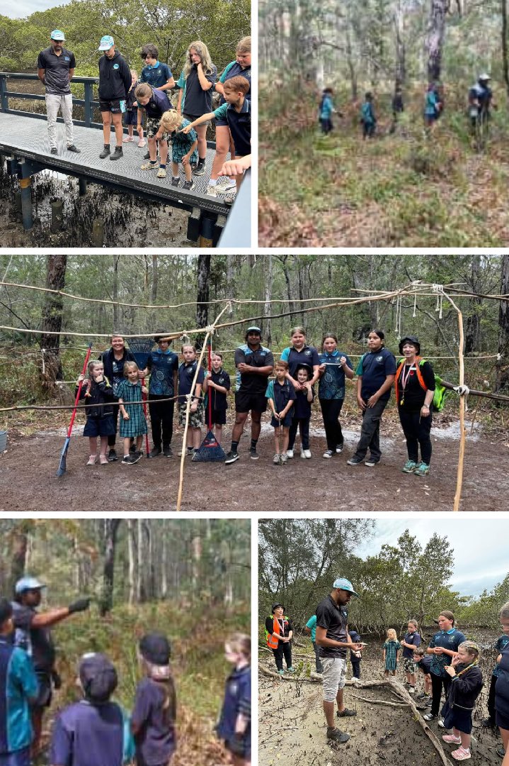 Mark Diamond (@diamondm64) on Twitter photo Nowra East Public School
Students are all experiencing āOn Countryā excursions this term with Gadhungal Marring. Learning about edible plants, exploring the mangroves, building a Gunya and practicing language. Older buddy classes are taking the lead!
<a href="/KathyPowzun/">Kathy POWZUN</a> <a href="/Jude182/">Jude Hayman</a> Nowra East Public School
Students are all experiencing āOn Countryā excursions this term with Gadhungal Marring. Learning about edible plants, exploring the mangroves, building a Gunya and practicing language. Older buddy classes are taking the lead!
<a href="/KathyPowzun/">Kathy POWZUN</a> <a href="/Jude182/">Jude Hayman</a>