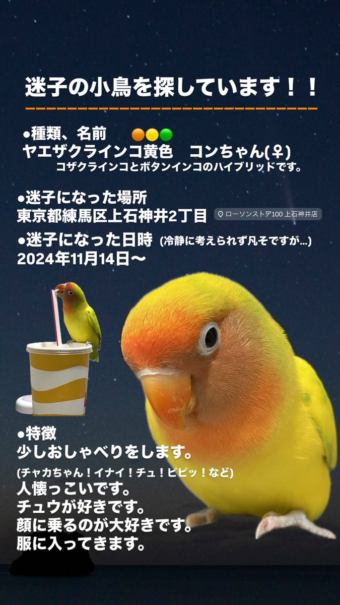 pomingpomy's tweet photo. どうか、どうかご協力のほど、よろしくお願いいたします🙇 https://t.co/4lyTFaz73E