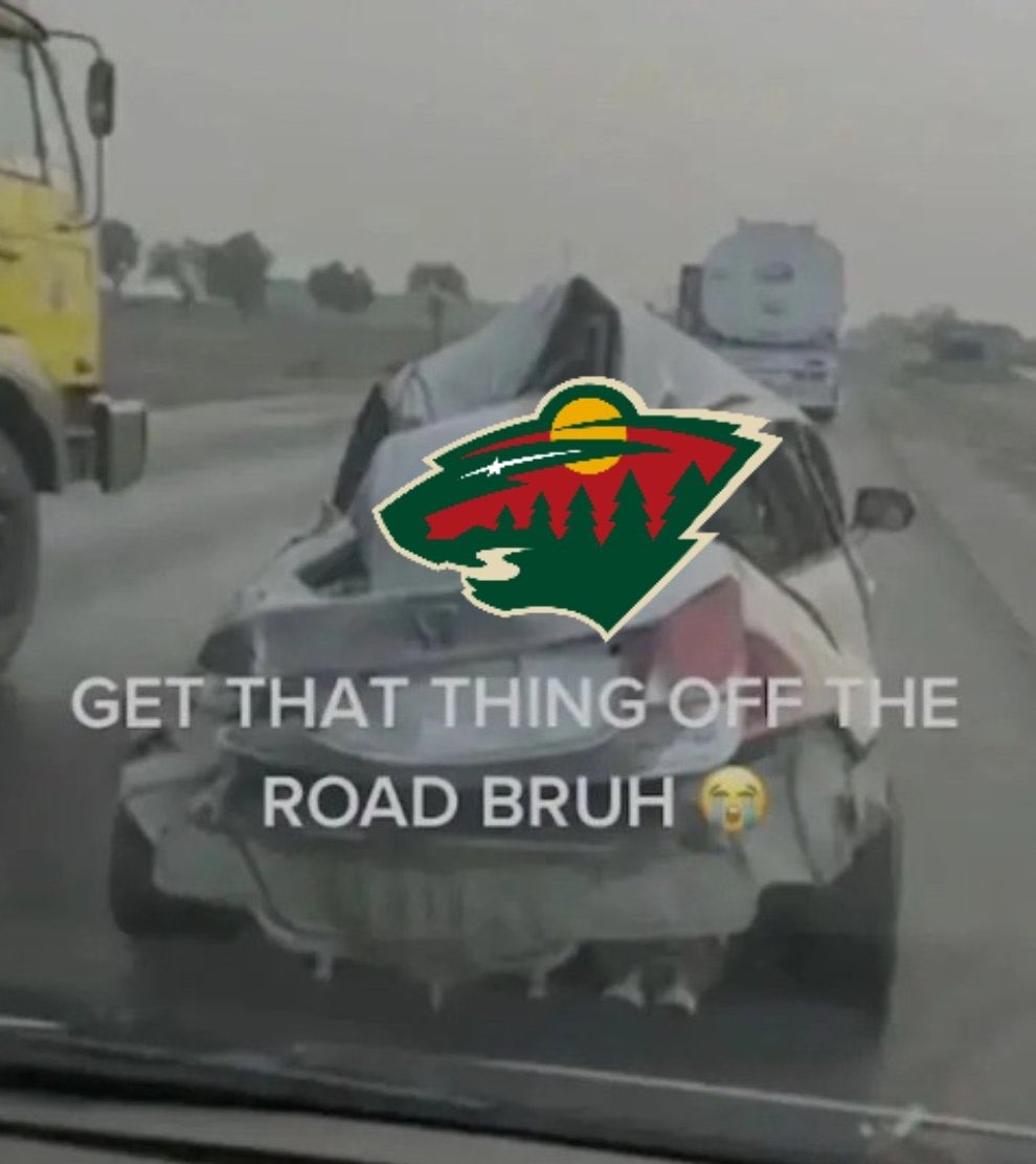 storsguy's tweet photo. @mnwild @TRIAOrthopedics Delete the franchise at this point https://t.co/Zb1ZvZA8UR