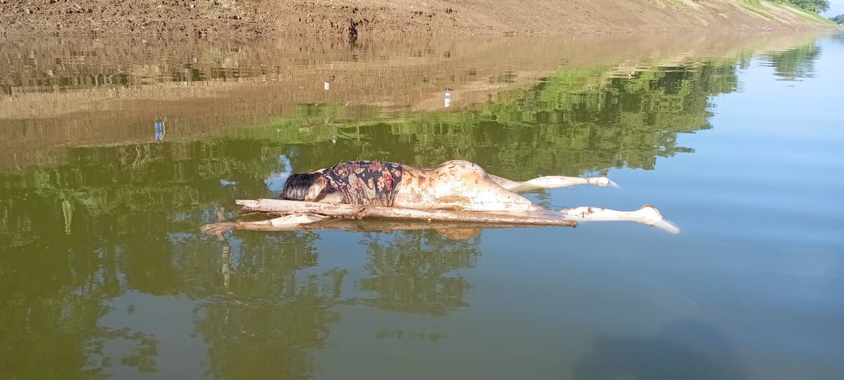 Tongjei_Maril's tweet photo. 🆘Disturbing visuals🆘
⚠️ The mortal remains of Yurembam Rani (60yrs) were found in #Barak river ! 
Raped multiple times, tortured, maimed and finally dumped in the river.
@HMOIndia
What action you're taking against #KukiBabyKillers apart from imposing #AFSPA in Imphal valley ? https://t.co/Omsqznhwvj