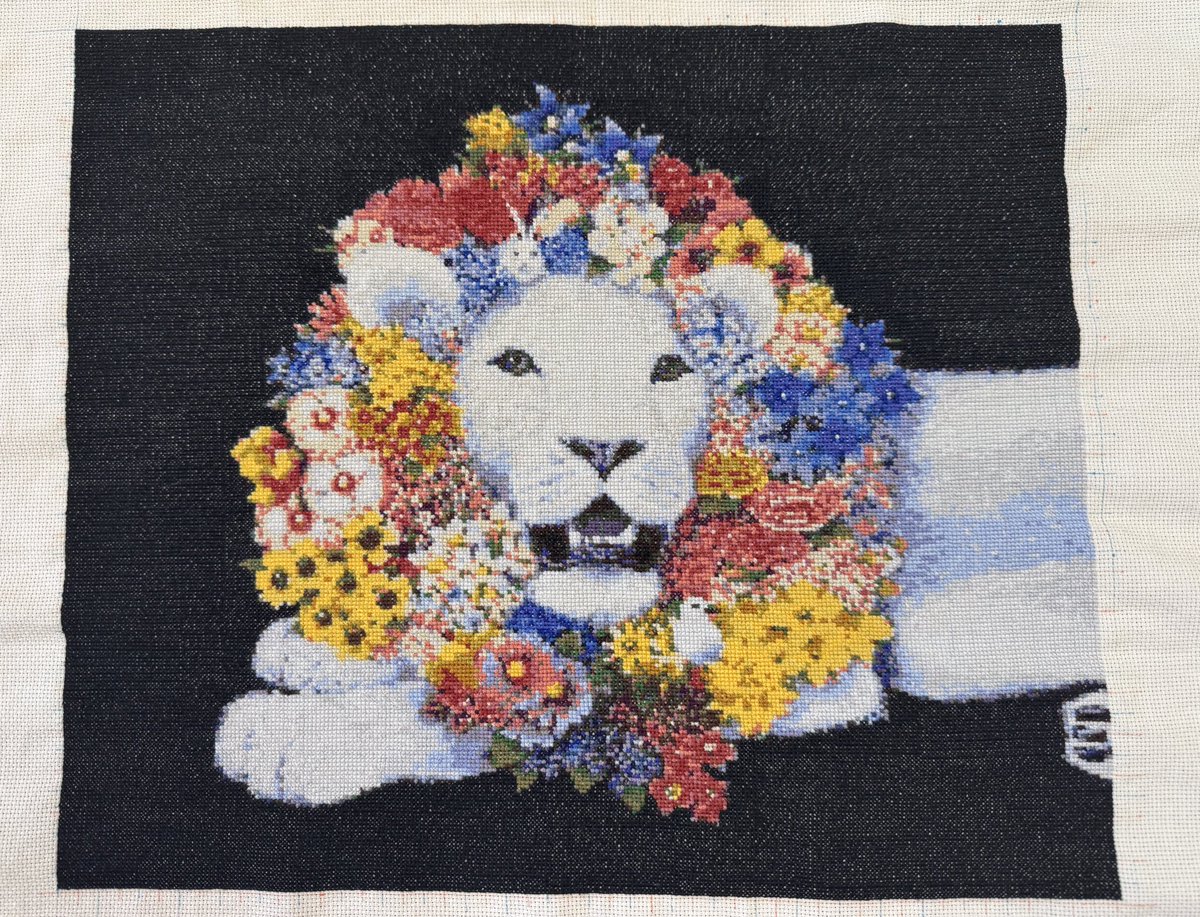 ちょこめ tweet media