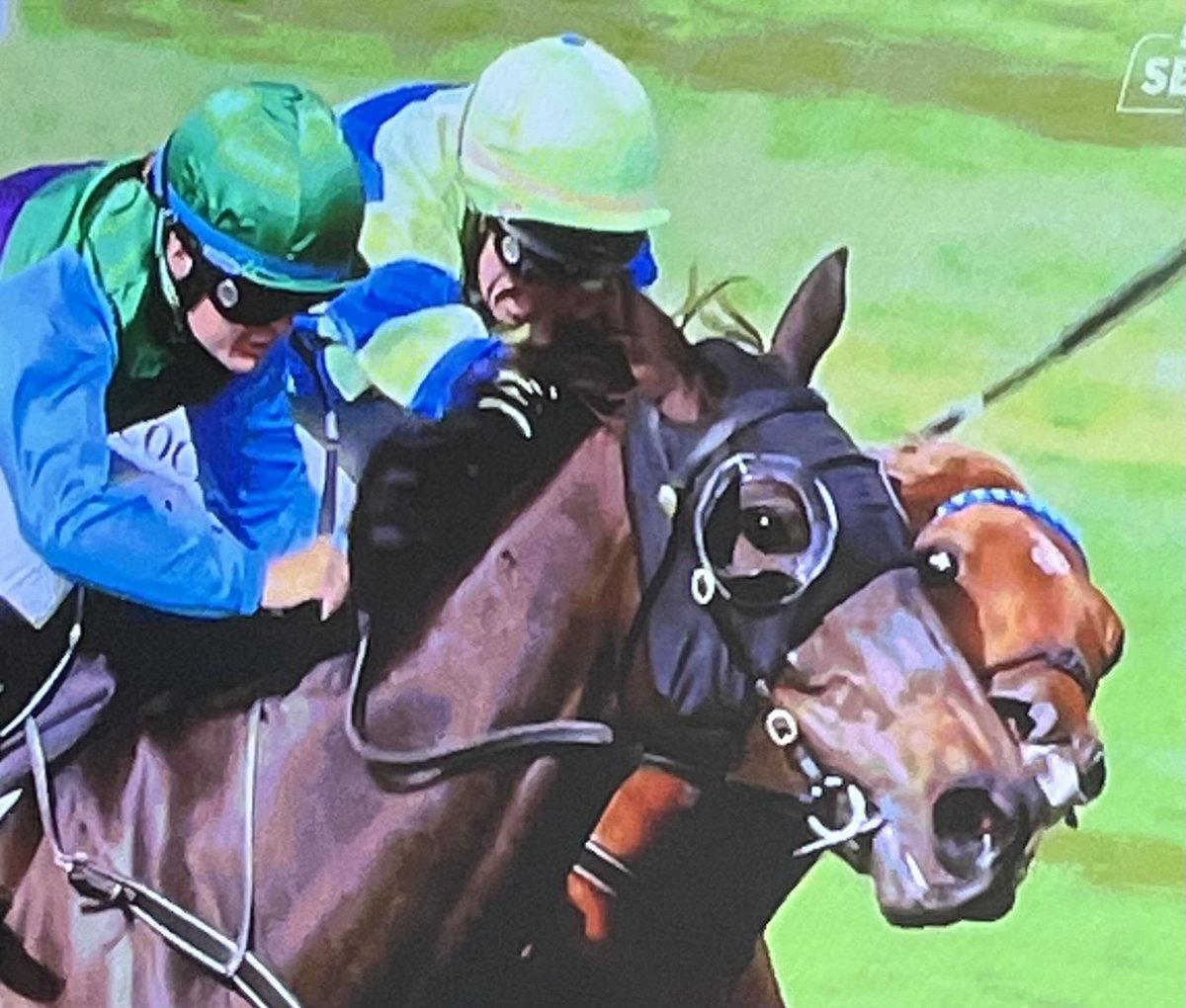 deanlestercoast's tweet photo. @Sportsfreakconz add this to photos of the week. A deadset Mike Tyson head butt to win the race #jackaroo #woodville #horse #miketyson #headbutt @GetOn78 https://t.co/Qf6Ys2Xo6R