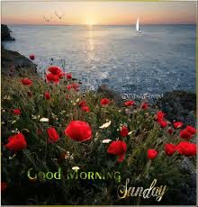 Assalam walaikum 

मुस्कुराएं और उठ जाएं अपने रविवार को अच्छा बनाएं कुछ नया सीखे या सिखाएं ध्यान रखे ये व्यर्थ ना हो जाये। 
Happy Sunday