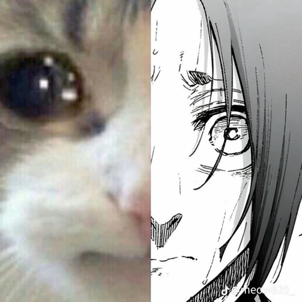 il_ynx's tweet photo. nagi by day reor by night https://t.co/ZahTRu0zPk