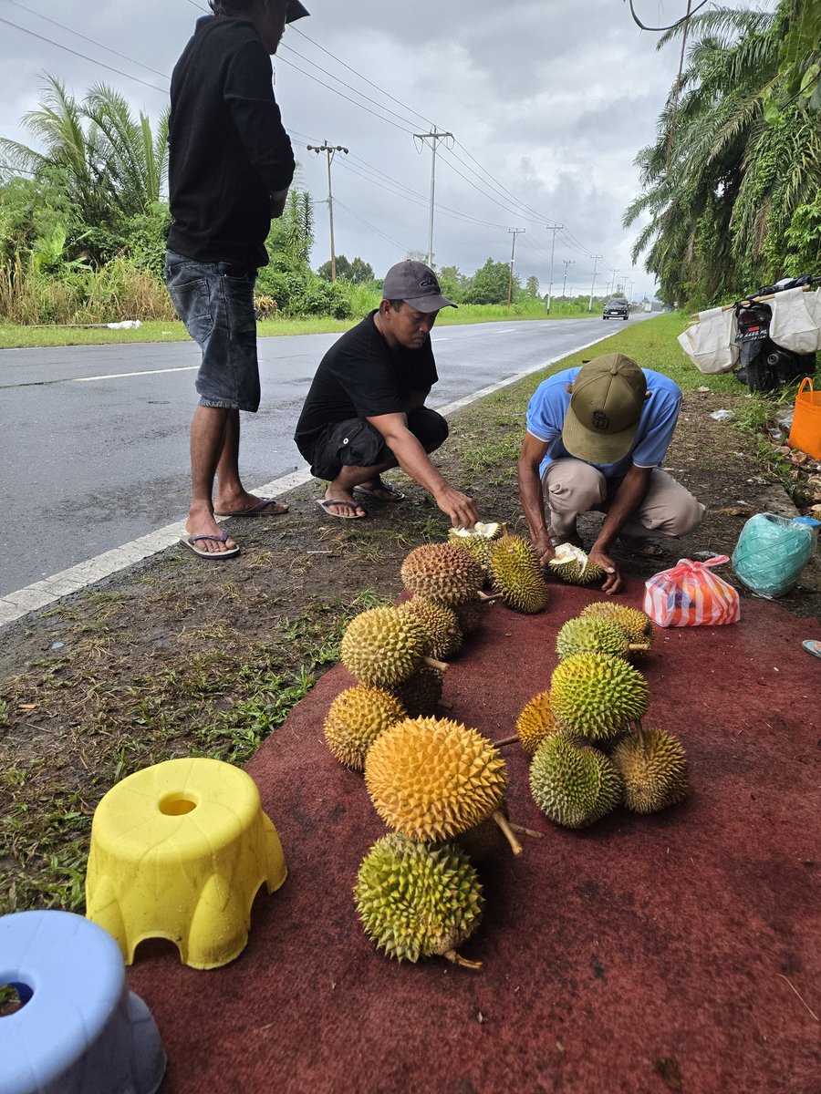 Lagi musim durian, durian disini rasanya 11 12 dengan musang king aleee...