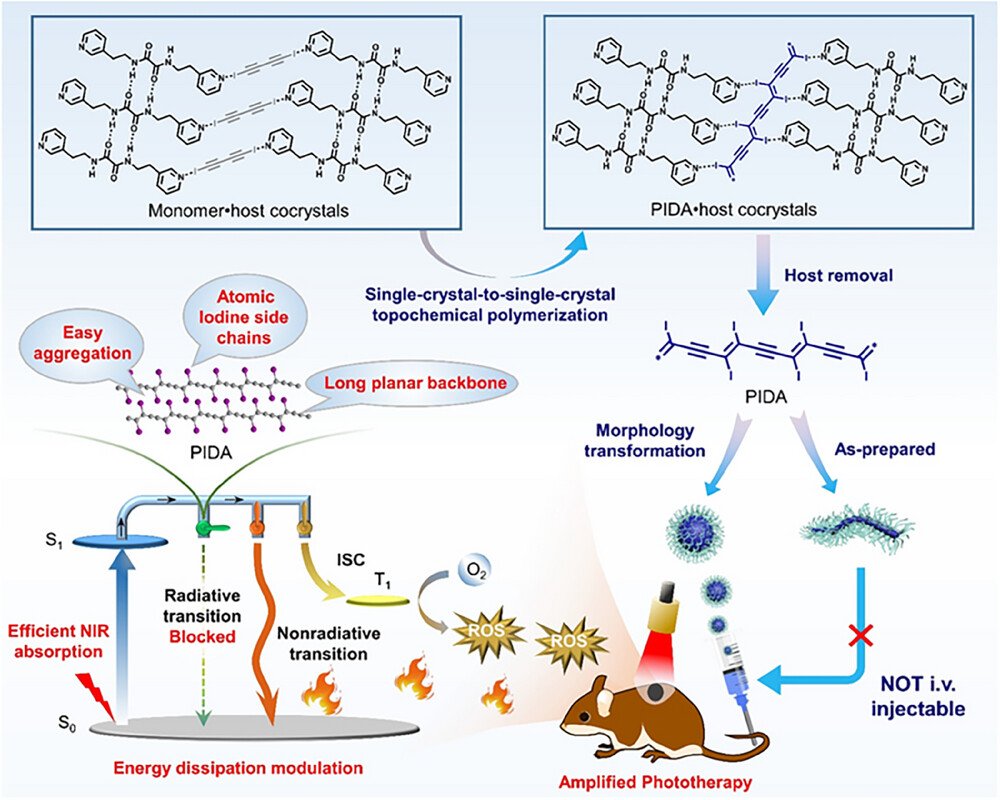 New Research Article🔬
"Atomic-iodine-substituted #polydiacetylene nanospheres with boosted intersystem crossing and nonradiative transition through complete radiative transition blockade for ultraeffective #phototherapy"by Liang Luo et al. <a href="/HuazhongUST/">华中科技大学</a> <a href="/WileyBiomedical/">Wiley Biomedical Science</a>