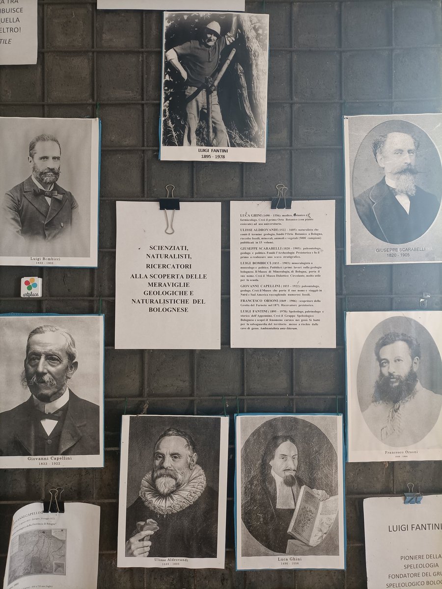 "Ero solo nel Museo dei botroidi di Luigi Fantini ma sentivo di essere osservato" 

Chi li guarda?

Sono vere eccellenze bolognesi che con i loro studi e scoperte hanno contribuito a rendere la nostra città dotta 

Ve li presenteremo nei prossimi post!

#museitaliani #museum