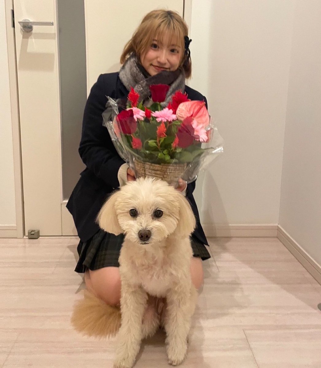 Rino07272's tweet image. kirara@アートしんゆり2024✨
ご観覧いただいた皆様ありがとうございました‼︎

10分弱に魅力がたくさん詰まったステージだったなと思います！
川崎100周年記念のクリスマスツリーはとっても綺麗なので、是非新百合ヶ丘へ行ってみてください🏃‍♀️

#AngelLandmark #angelpro