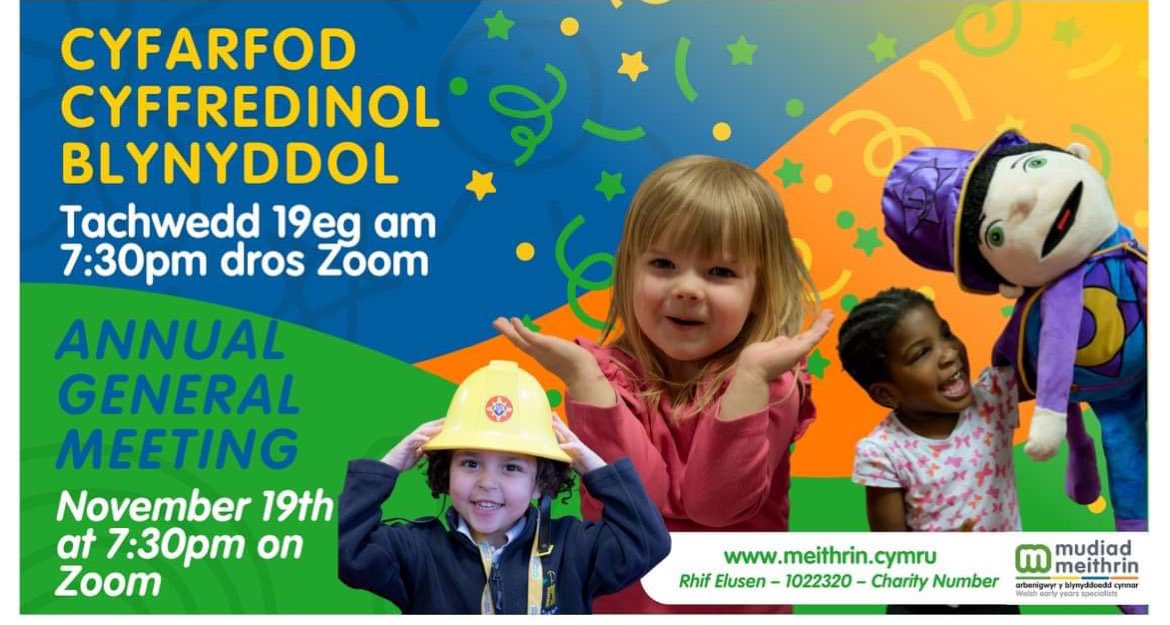 MudiadMeithrin tweet media