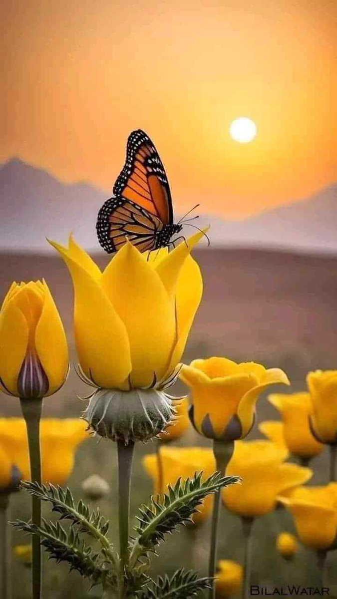 إذا أردت أن ترى الحياة أجمل 🌸
سامح وتجاوز ولا تحمل في قلبك الحقد