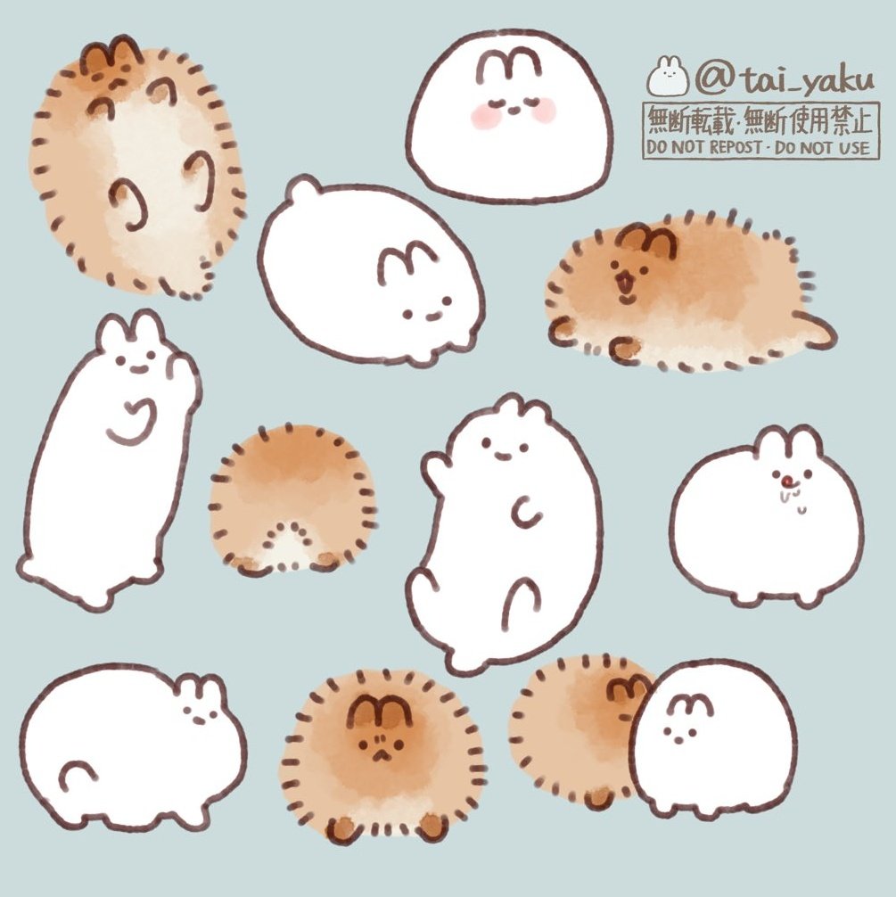 🐰🦀🐰🦀🐰🦀🐰