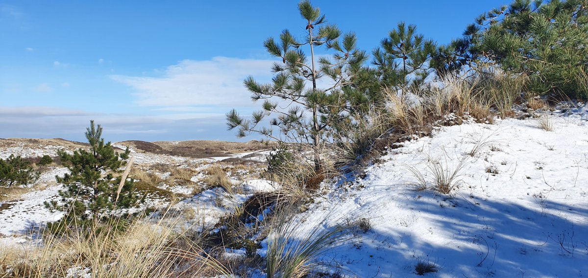 Hotelletje deVeerman tweet media