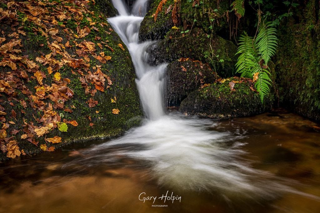 Gary Holpin | Photography tweet media