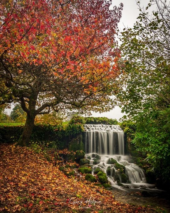 Gary Holpin | Photography tweet media