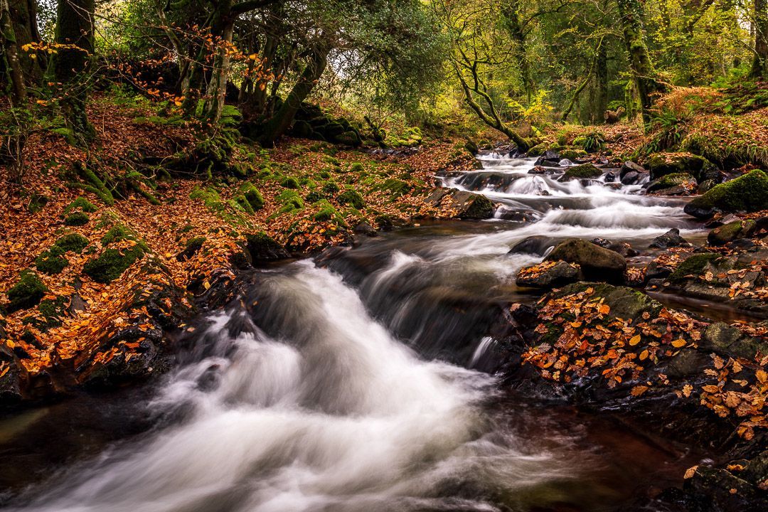 Gary Holpin | Photography tweet media