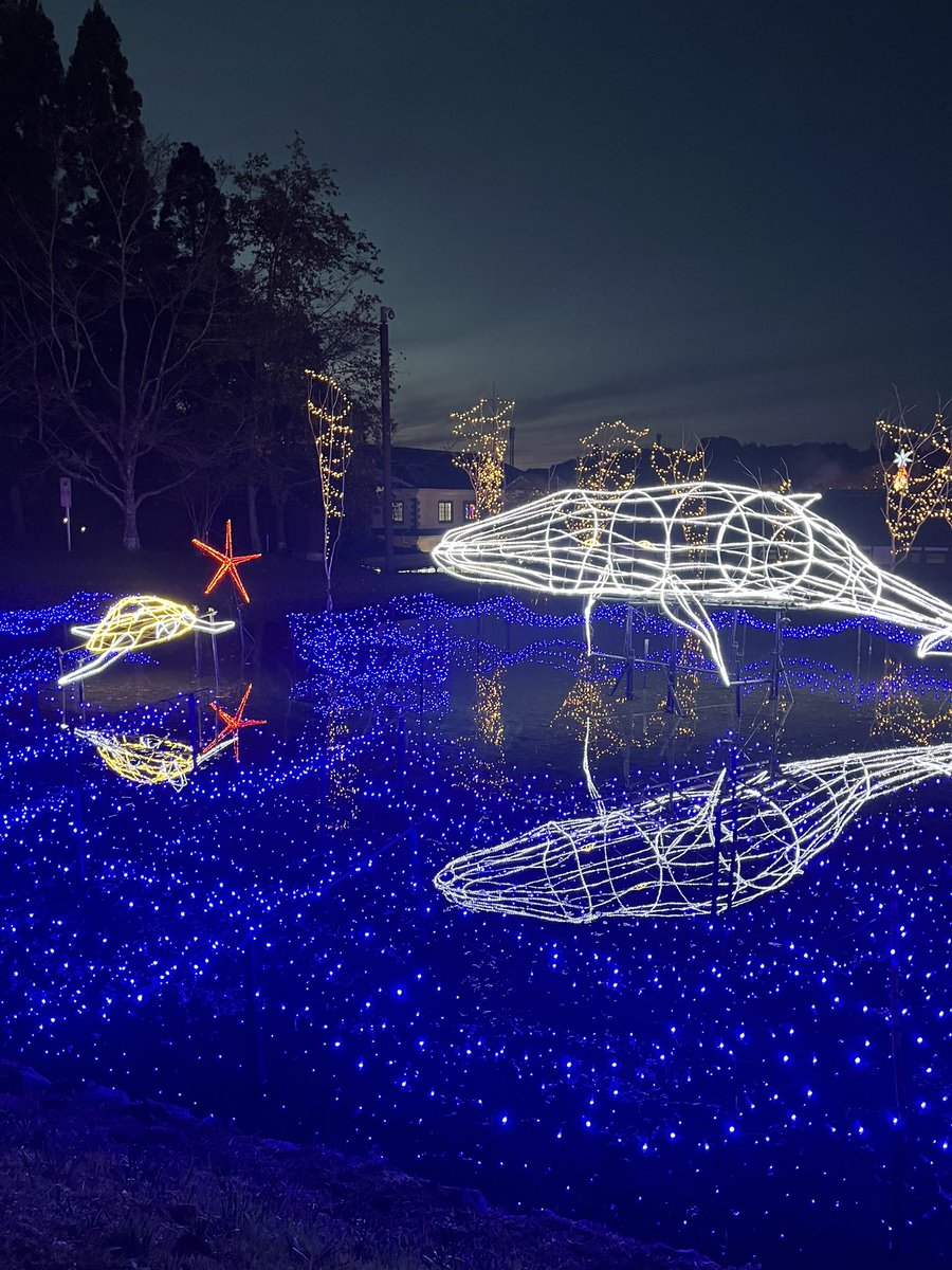 ひろしまセーフティープラザ (@HIROankyo_plaza) / Posts / X