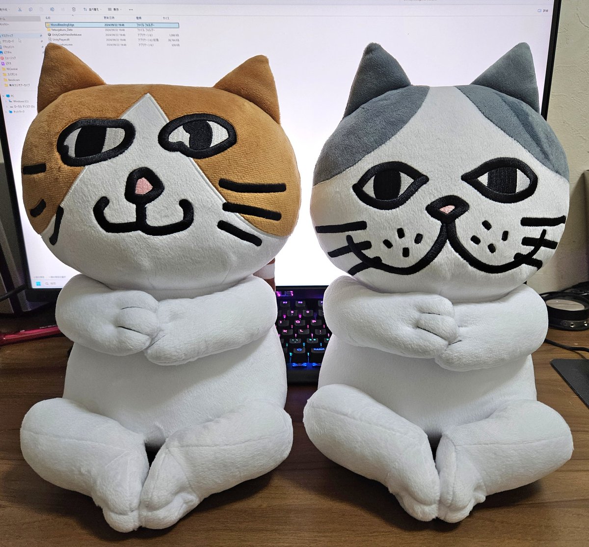 ごまミケ＆ごまムギぬいぐるみ 思ってたのより100倍可愛い そしてデカイ