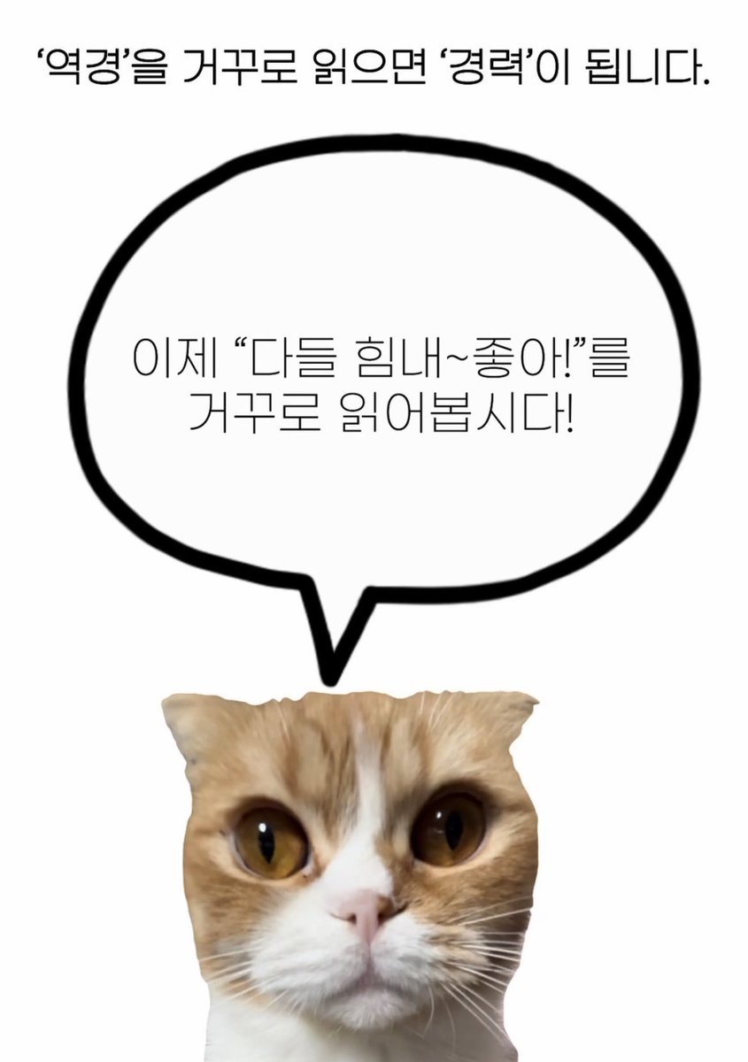 melikezzal's tweet photo. https://t.co/rkLR9KOgi9