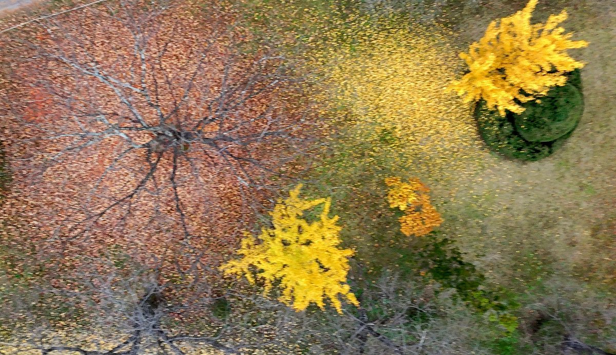 2024 11 17

경주 서출지 앞에서

이제는
가을이
마지막
떠나갈
채비를
하네요

시간이
지나면
떠나는
순간이
오듯이

우리네
삶속의
시간도
이처럼