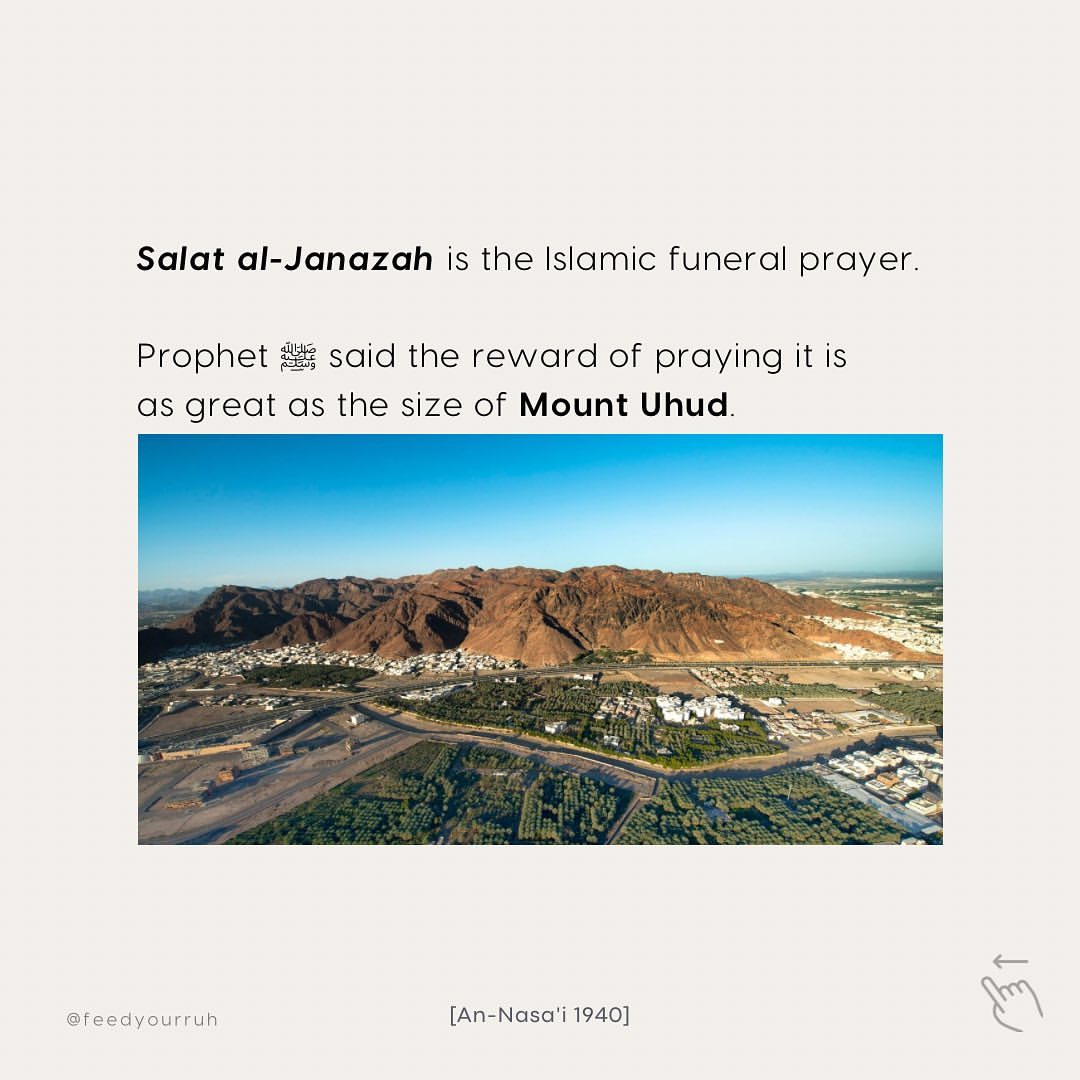 Tweet image 1