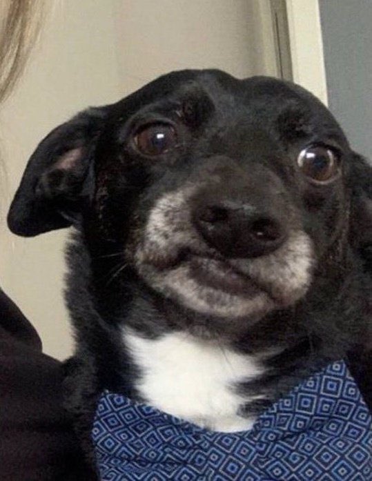 No hace ni dos meses que tengo el carro y ya me lo chocaron