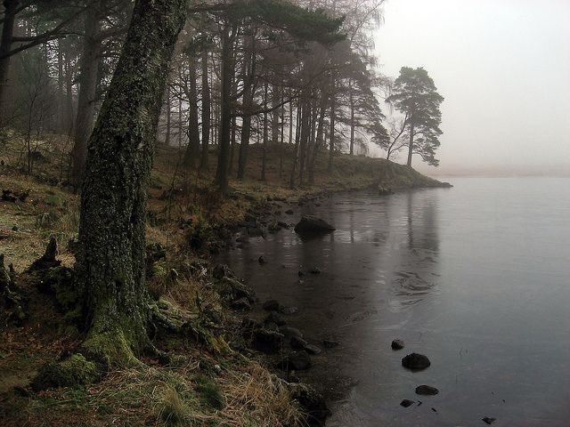 𝙍𝙚𝙙𝙨𝙩𝙖𝙜 (@toredstag) on Twitter photo 