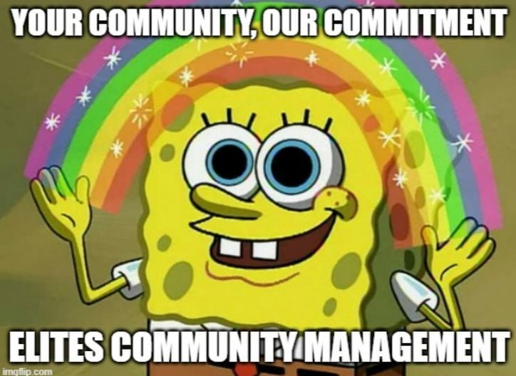 SBAphelios_'s tweet photo. @VibeCTO WE VIBIN REAL HARD WITH THIS ONE!

If ever you need more of those great vibes, ECM is here with those raiders and moderators to help manage!

Learn more about us here!
https://t.co/H4OkyXzoxH 
https://t.co/dGZ1Z1rcrz https://t.co/3HxrRKSSax