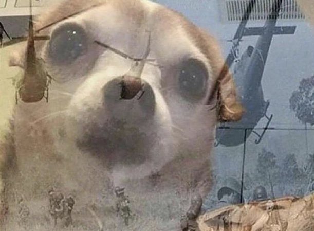 Daniel Cormier watching the Jones/Miocic promo and seeing him get his shot rocked in 4 different fights