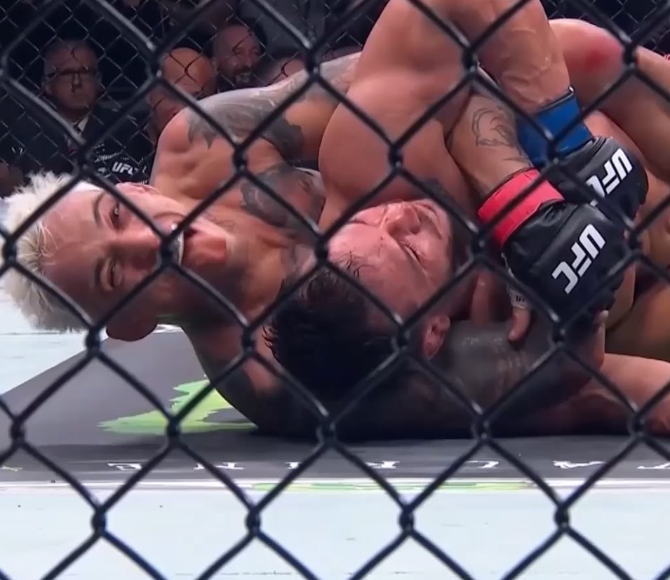 ak_pinna47's tweet photo. o campeão tem nome, e ele se chama charles oliveira, um leão embaçado https://t.co/apekF1lc10