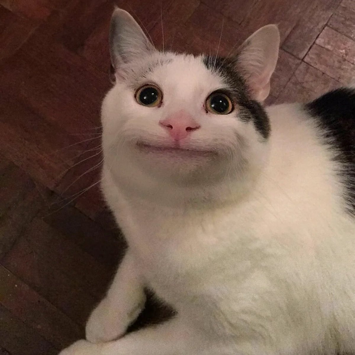 TUEURENGOURDI's tweet photo. /: xiii smiles like this I fear https://t.co/vOA8fmYtCZ