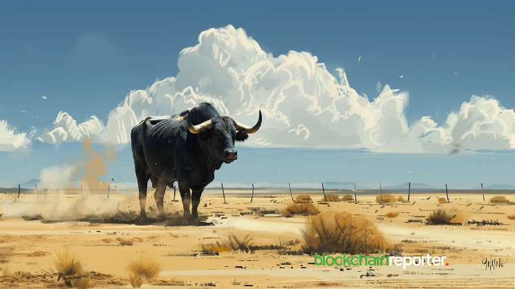 NBTC_finance's tweet image. Analyst Says Real Bitcoin Bull Run Will Begin with Trump’s Win

news.nbtc.finance/analyst-says-r…
#TrumpCryptoPolicy #ProCrypto #SECChange #AltcoinRevival #Election2024 #Crypto #Bitcoin #NBTC