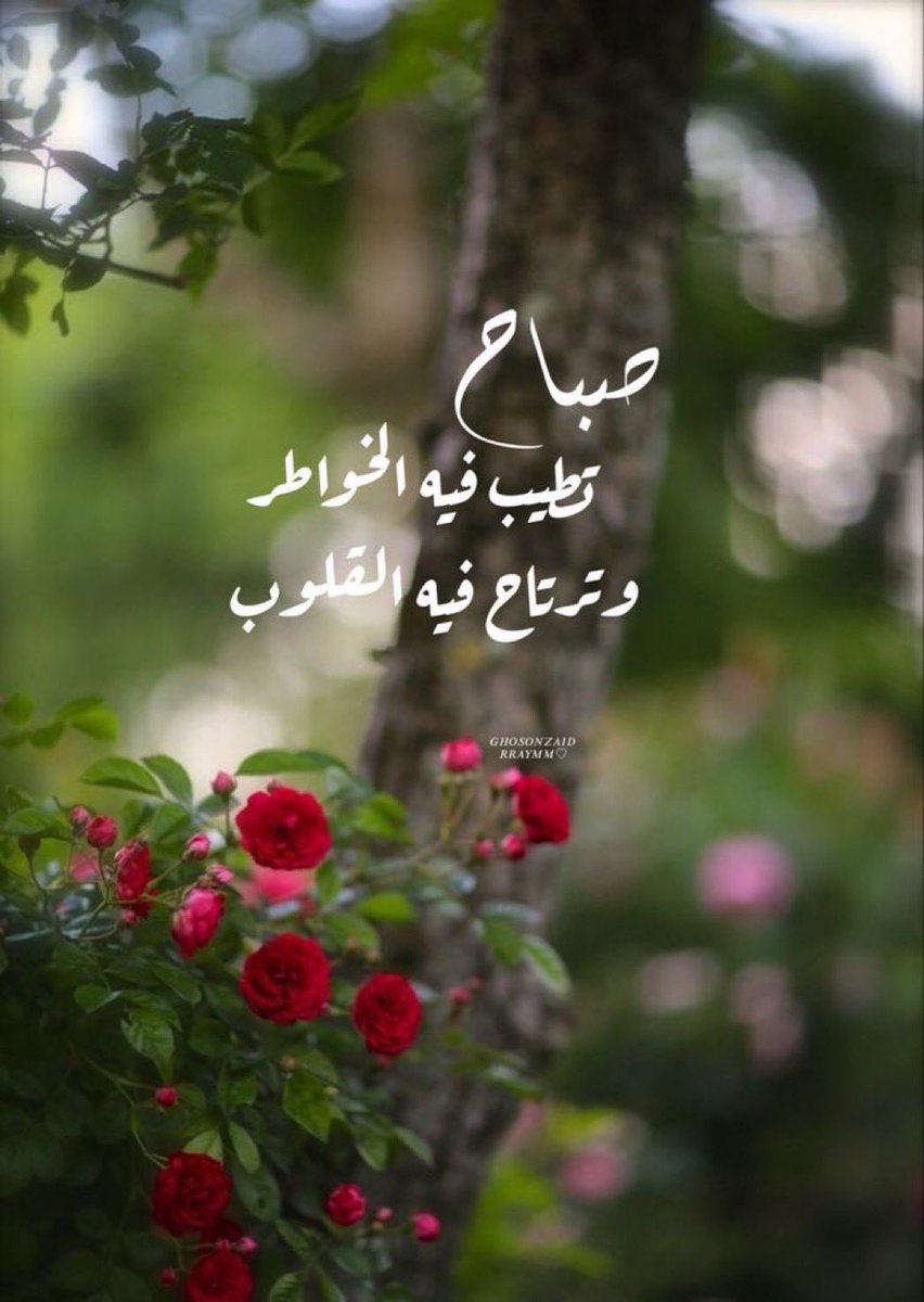 صباح الخير 🌱