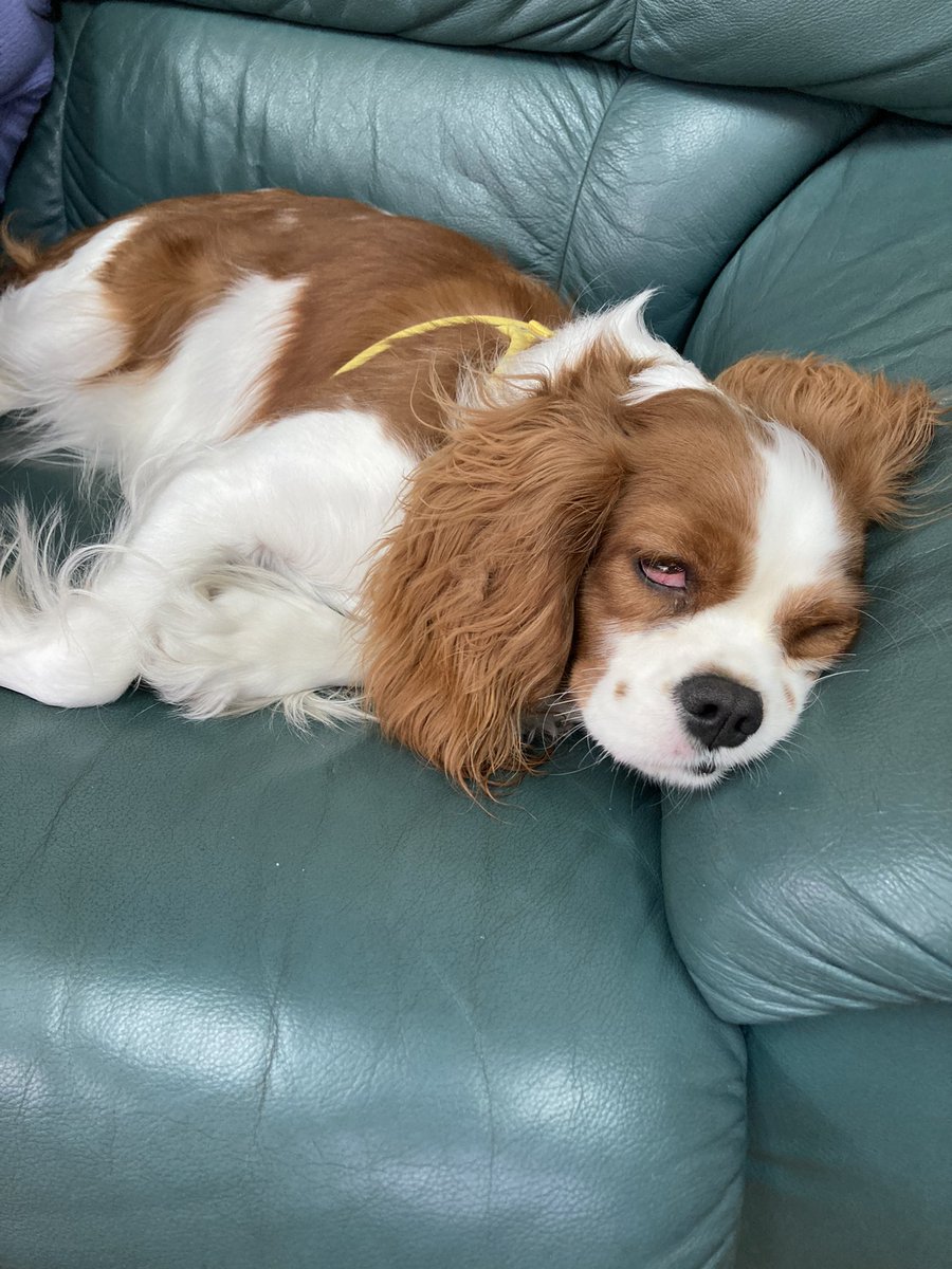 cando1998's tweet image. 秋って
疲れるよ