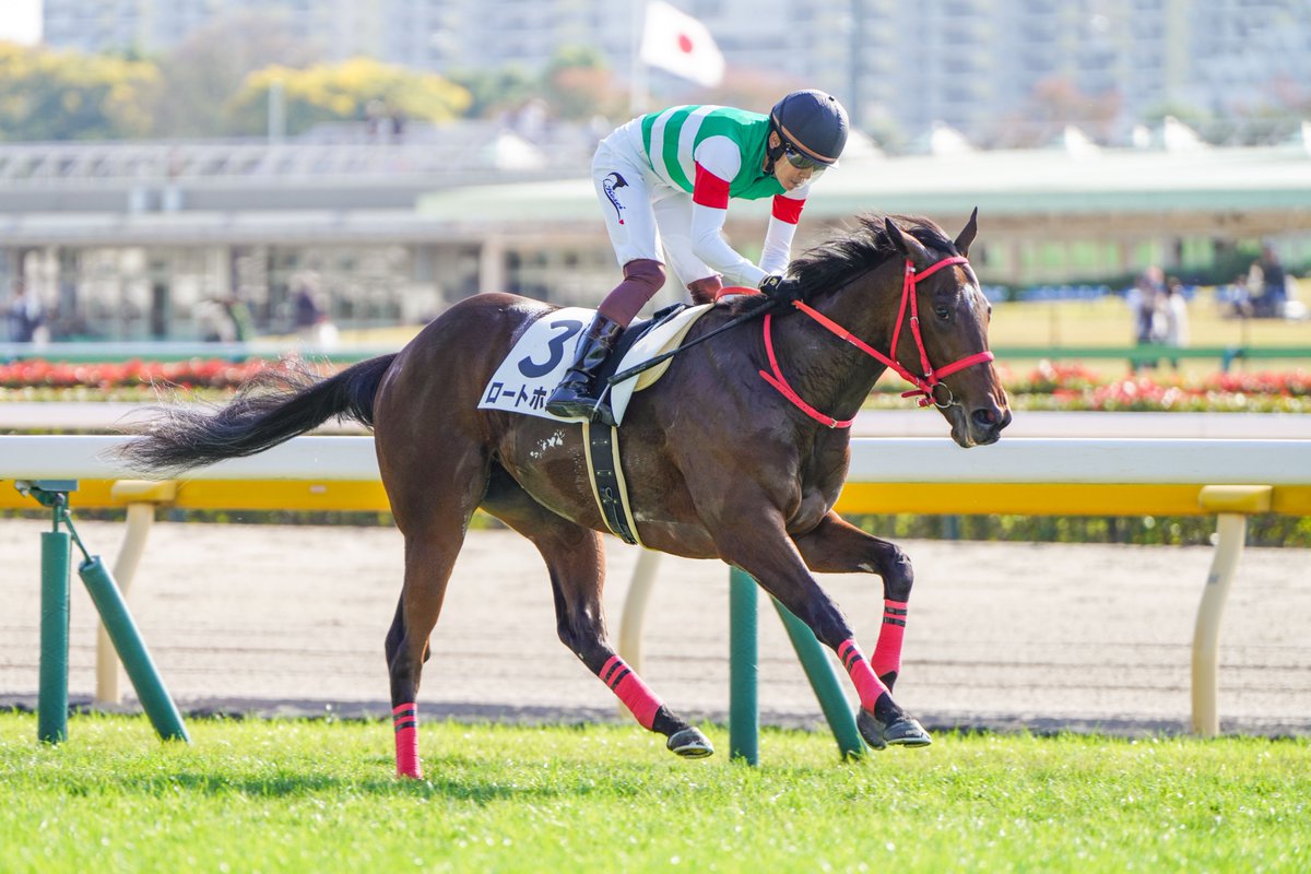 katies_gem's tweet photo. #ロートホルン 優勝❗🥇10番人気と大きく評価を落としていましたが、スタートから押して先手を奪い、直線では後続を突き放して6馬身差の圧勝劇❗前半59秒7のペースを自ら作って、勝ち時計1分45秒9は極���て優秀。馬群で揉まれたときにどうかという課題はありますが、将来性に期待大です❗
#2歳未勝利 https://t.co/996TvZNFPE