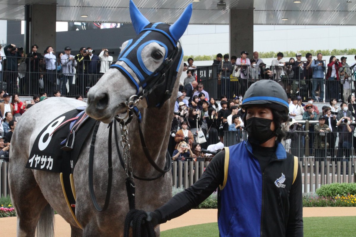5umauma's tweet photo. 11.17🐎京都9R イヤサカ🐴♡

リボン嬉しかった(;o;)♡イヤサカちゃんは本当に可愛い(;o;)♡♡ https://t.co/xEvPrwLdfM