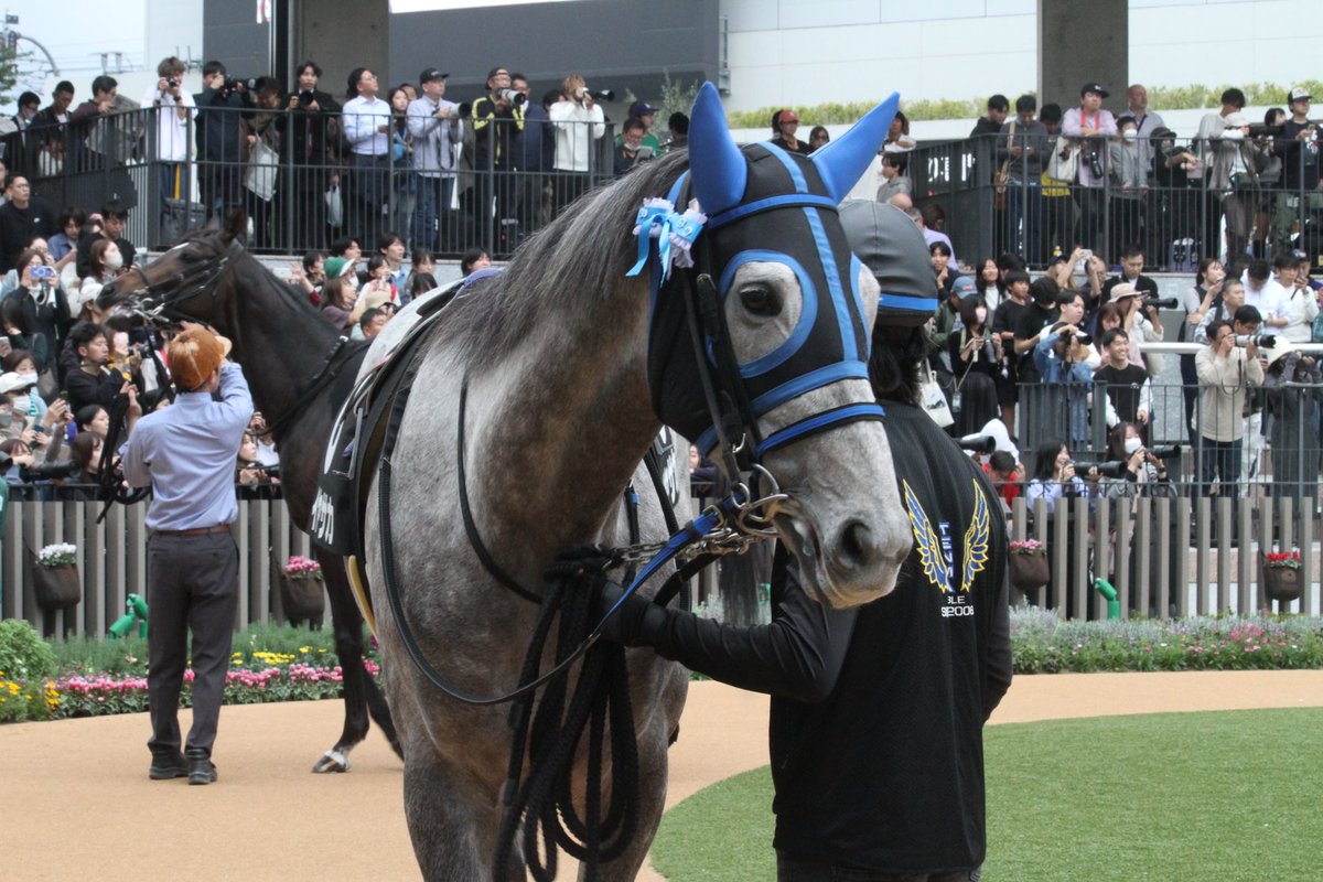 5umauma's tweet photo. 11.17🐎京都9R イヤサカ🐴♡

リボン嬉しかった(;o;)♡イヤサカちゃんは本当に可愛い(;o;)♡♡ https://t.co/xEvPrwLdfM