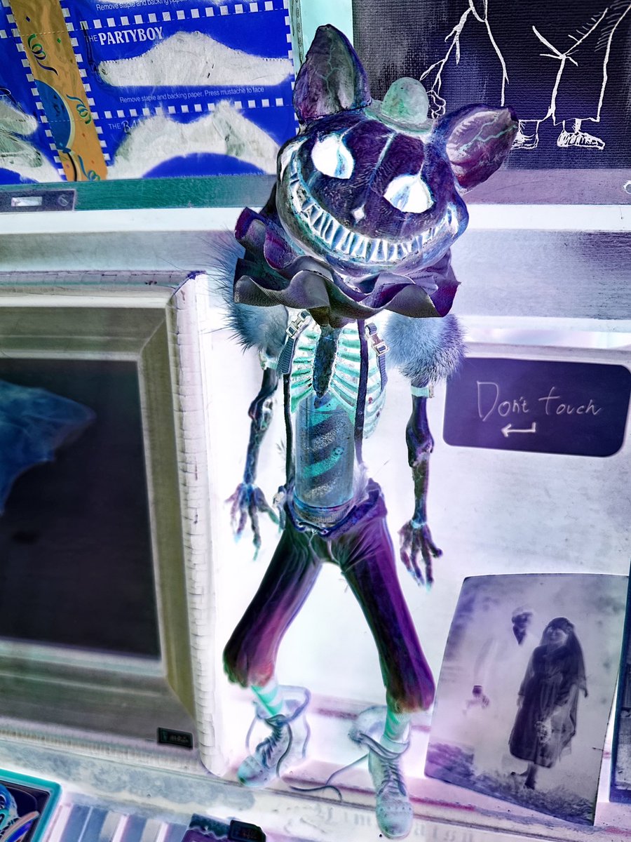 G48kaoru's tweet image. キョウモキョウト
🎠🎪

  #Anatomic circus
 #二階建
 #遊園地な雑貨店
 #京都