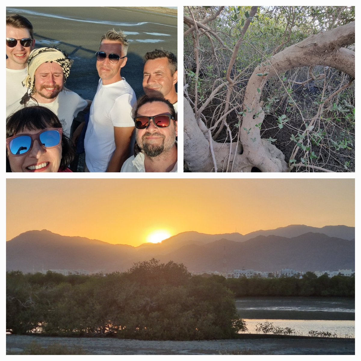 Barbara Horejs (@barbarahorejs) on Twitter photo Visiting the beautiful mangroves at the #Sharjah beach w/ our #Kalba team to discuss the impact of this specific environment on the Bronze Age societies c 4500 years ago. One important aspect we currently investigate in the gulf region #UAE <a href="/ShjArchaeology/">هيئة الشارقة للآثار</a> <a href="/oeai_oeaw/">Österreichisches Archäologisches Institut</a> Visiting the beautiful mangroves at the #Sharjah beach w/ our #Kalba team to discuss the impact of this specific environment on the Bronze Age societies c 4500 years ago. One important aspect we currently investigate in the gulf region #UAE <a href="/ShjArchaeology/">هيئة الشارقة للآثار</a> <a href="/oeai_oeaw/">Österreichisches Archäologisches Institut</a>