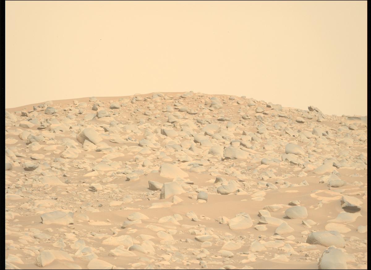 MarsMissionImgs's tweet photo. #PerseveranceRover image taken on #Sol889 at 2:02:39.669 PM with #MastcamZ #Mars #NASA #Space https://t.co/gillRMZU1p