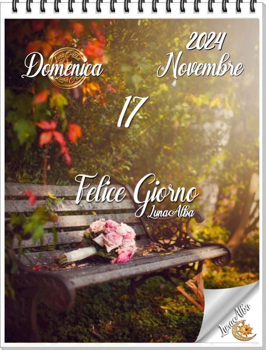 RITABIANCHi56 tweet media