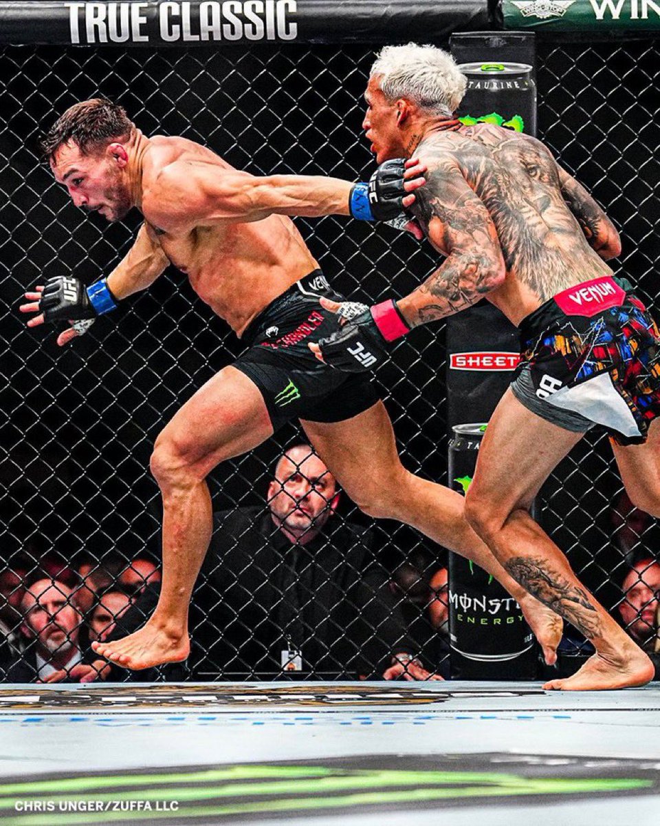 • 𝕁𝕒𝕪 🌳🌹 tweet media