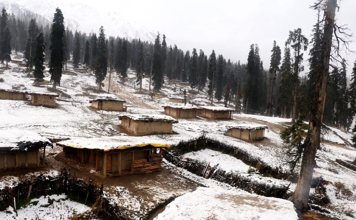 JandKTourism's tweet photo. The snows are here…are you?
Here’s a sneak peak of the recent snowfall from the valley.
#JammuAndKashmir #winter
#snowfall #kashmir #snow #seasonofsnow #flurries #snowflakes #winterscapes #valley #tourism
@diprjk https://t.co/M7Dy41QAg4