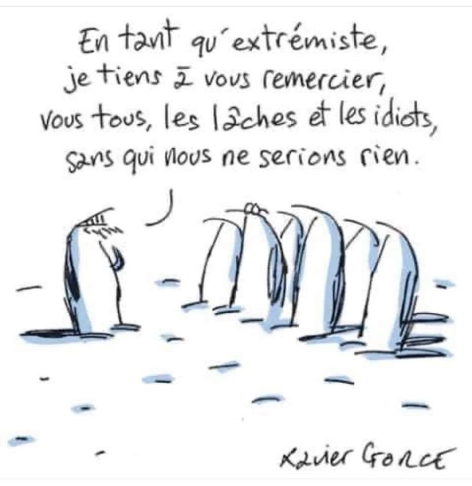 APOLITIQUE_FIER's tweet photo. Bonjour, bon dimanche 😘
Je plussoie, les lâches, les idiots, les #Noui, les #nolife, les incultes, les fieleux, les jaloux sont le carburant des extrêmistes. https://t.co/fJTV6Vjrku