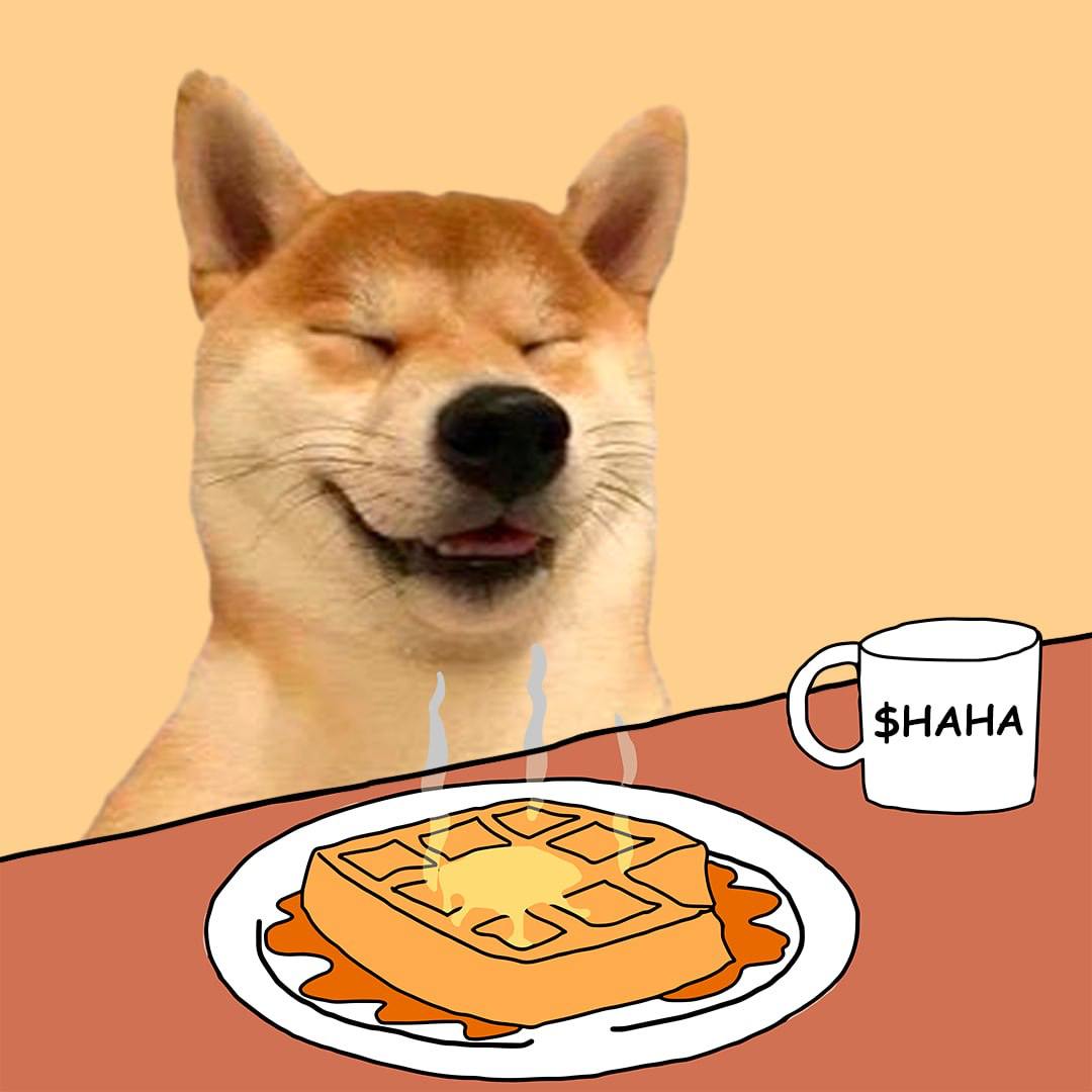 $haha dog tweet media