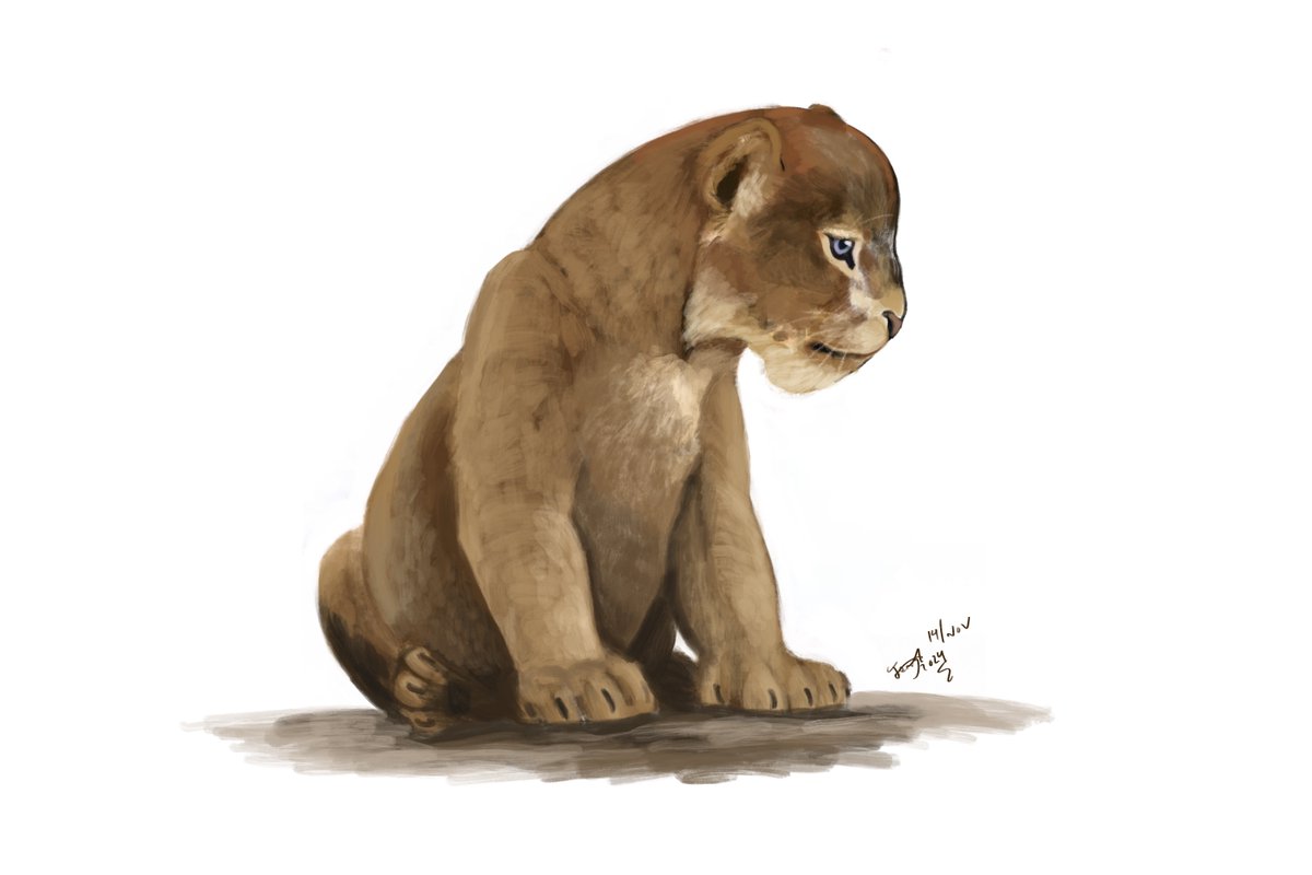 I see a little sabercat melting hearts like they were 21th century permafrost! Yet another thing I love about this discovery- showing the human capacity for love and empathy, which trascends species, time, and even death. May we always keep it, and our planet full of wonders!