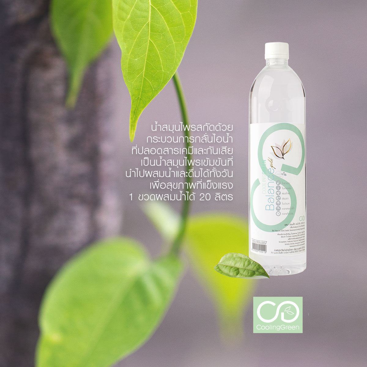 "พี่เกือบจะมองไม่เห็นเพราะเบาหวานแล้ว"
จากวันนั้นเกือบมองไม่เห็นเพราะเบาหวาน วันนี้สุขภาพดี ยิ้มและมองเห็นชัดขึ้นได้อีกครั้งด้วยธรรมชาติบำบัด
มาอ่านเรื่องราวของพี่สมใจ บ้านอยู่ใกล้ๆ สวนคูลลิ่งกรีนที่ได้รับคำแนะนำให้ลองดื่มน้ำสกัดจากหนึ่งในทีมงานเรา