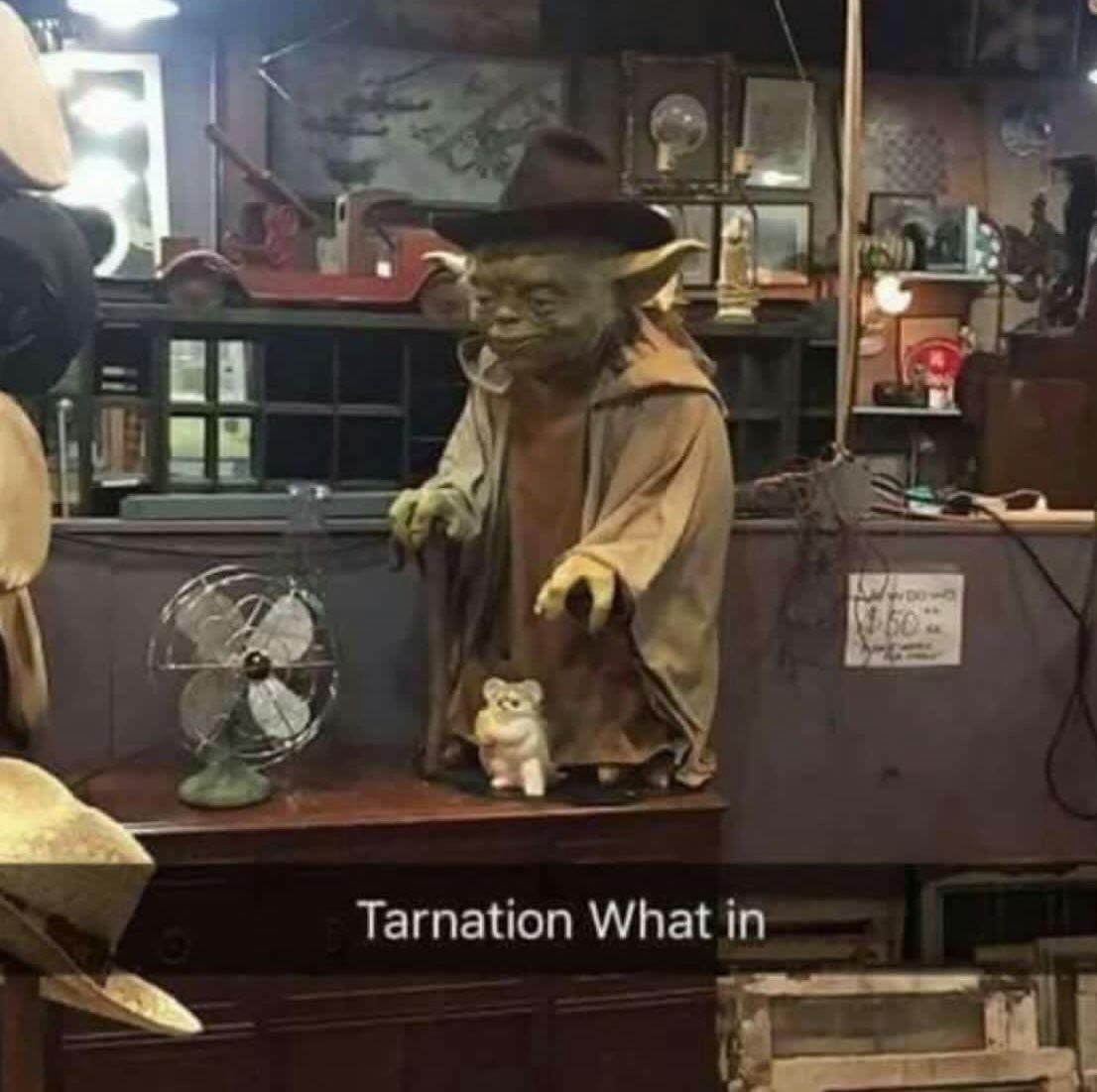 My Therapist: “Cowboy Yoda isn’t real, he can’t hurt you.”

Cowboy Yoda: