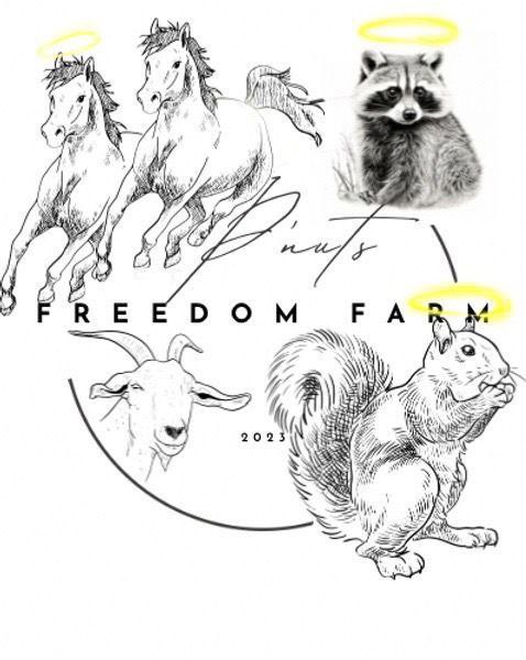 LosbrothersinTx's tweet photo. @Nafwyd Have you heard of #Chrystal?
- #Cheyennes best friend.
-Oldest member of the $ PNUT farm family.
-CTO with market cap under 1 mill. https://t.co/mK0Cvy0cTD