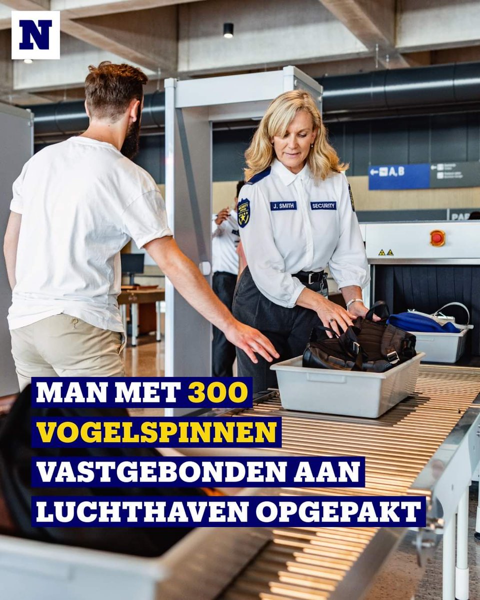 Hoe kun je nu ongemerkt 300 vogelspinnen vastbinden aan een luchthaven 🤔